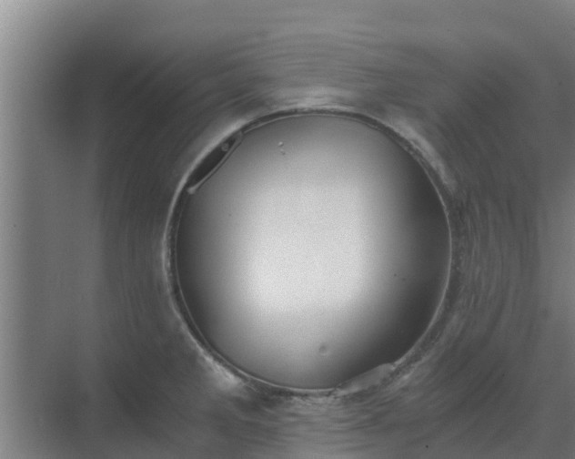 X0000069811285200605261739