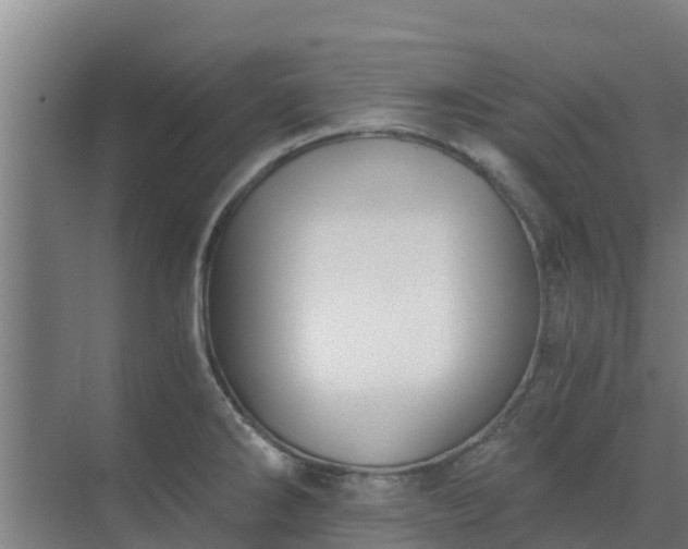 X0000069811286200605261739