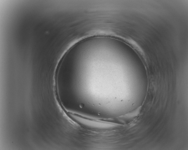 X0000069811287200605261739