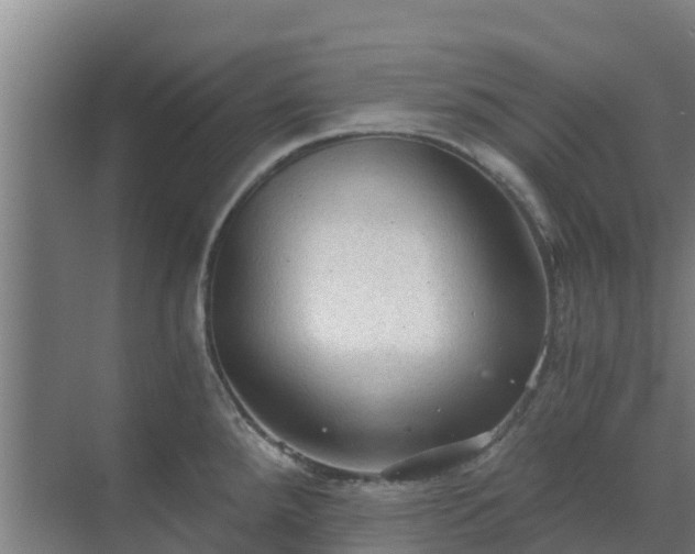 X0000069811288200605261739