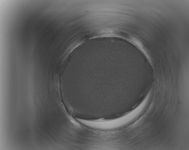 X0000069811289200605261739