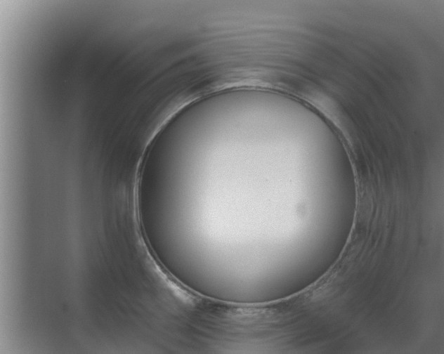 X0000069811290200605261739