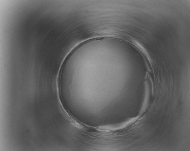 X0000069811291200605261739