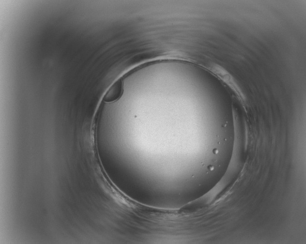 X0000069811292200605261739