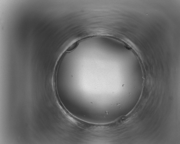 X0000069811293200605261739