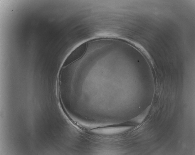 X0000069811295200605261739