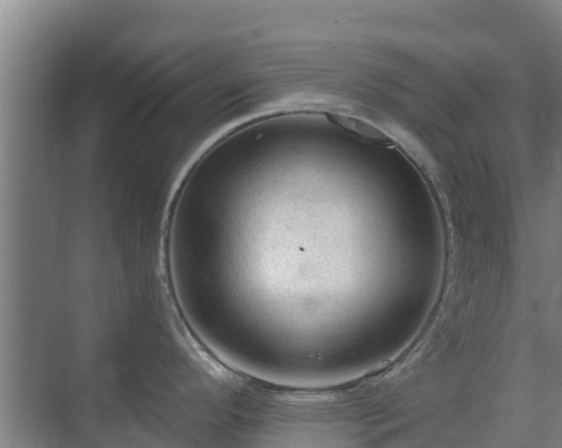 X0000069811296200605261739