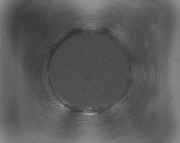 X0000069811297200605261738