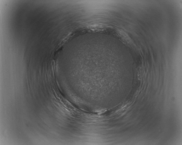 X0000069811298200605261738