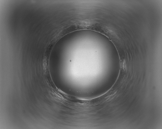 X0000069811299200605261738