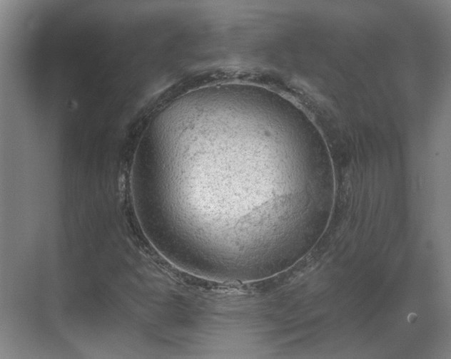 X0000069811302200605261738