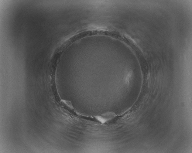 X0000069811303200605261738