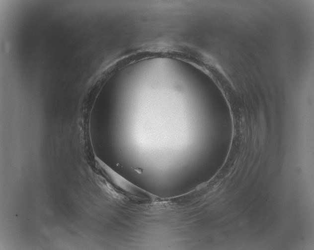 X0000069811304200605261738