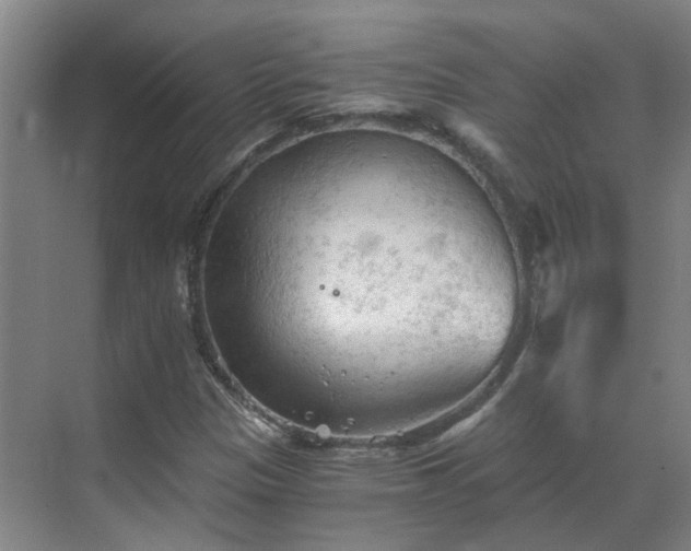 X0000069811305200605261738