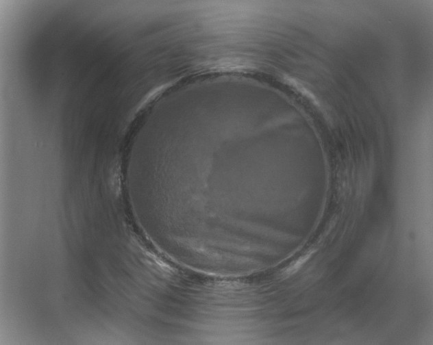 X0000069811306200605261738