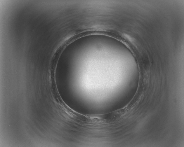 X0000069811307200605261738