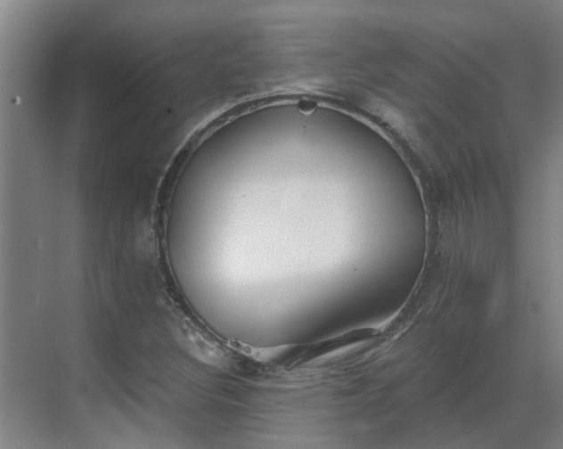 X0000069811308200605261738