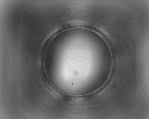 X0000069811309200605261738