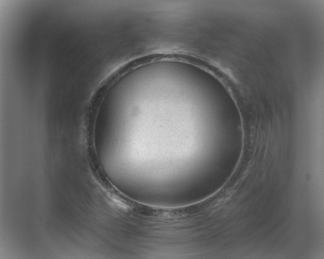 X0000069811311200605261738