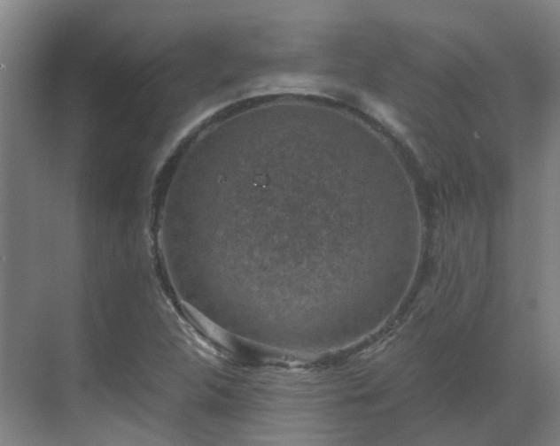 X0000069811312200605261738