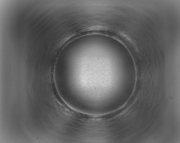 X0000069811313200605261738