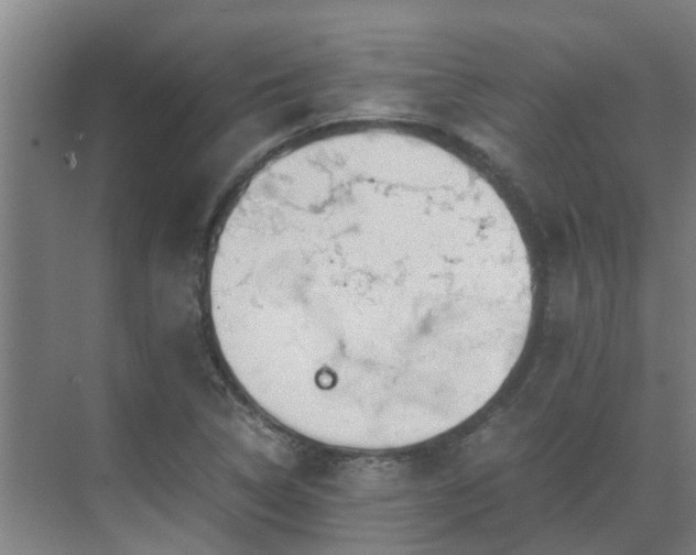 X0000069811314200605261738