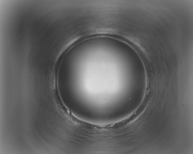 X0000069811317200605261738