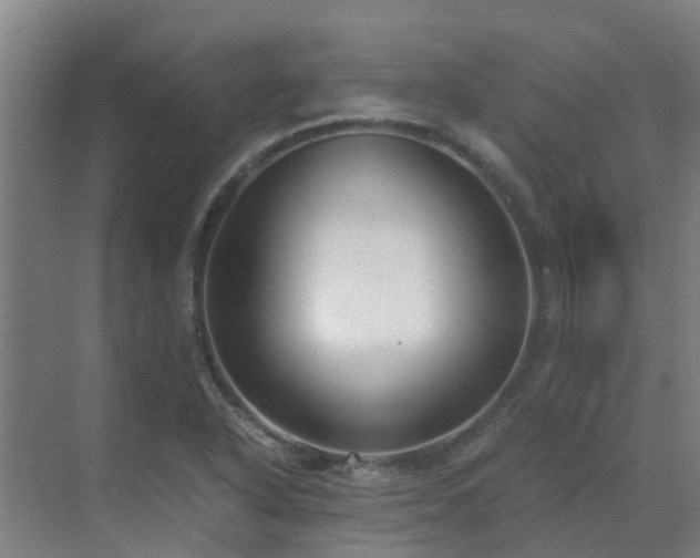 X0000069811318200605261738