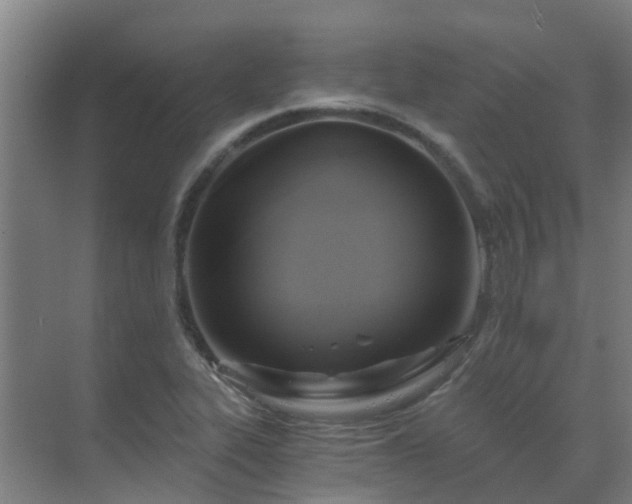 X0000069811319200605261738