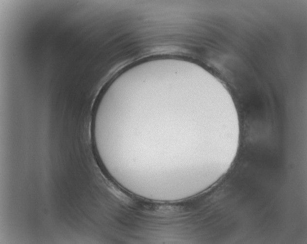 X0000069811322200605261738