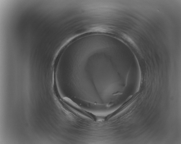 X0000069811323200605261738