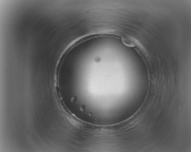 X0000069811324200605261738