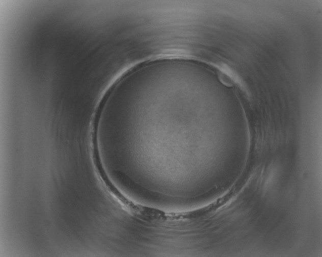 X0000069811325200605261738