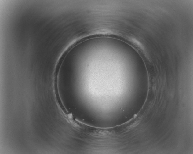 X0000069811326200605261738