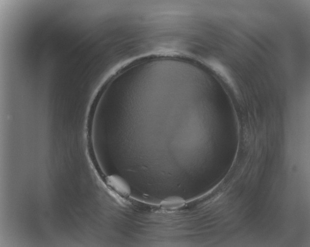 X0000069811327200605261738