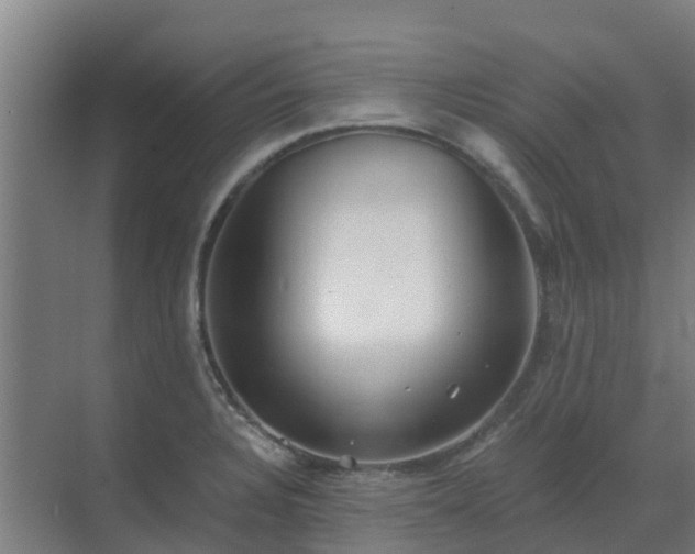 X0000069811328200605261738