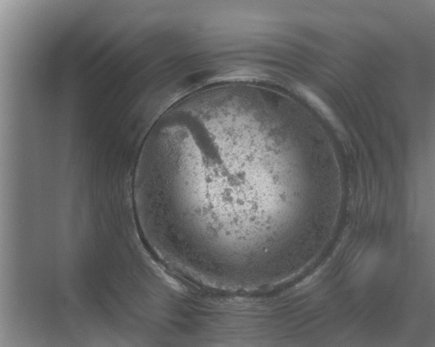 X0000069811329200605261738