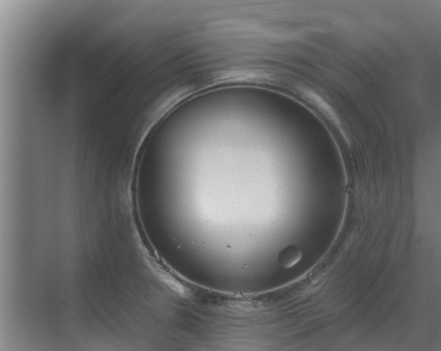 X0000069811330200605261738