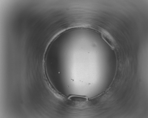 X0000069811332200605261738