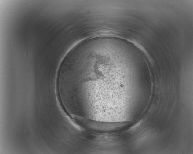 X0000069811333200605261738