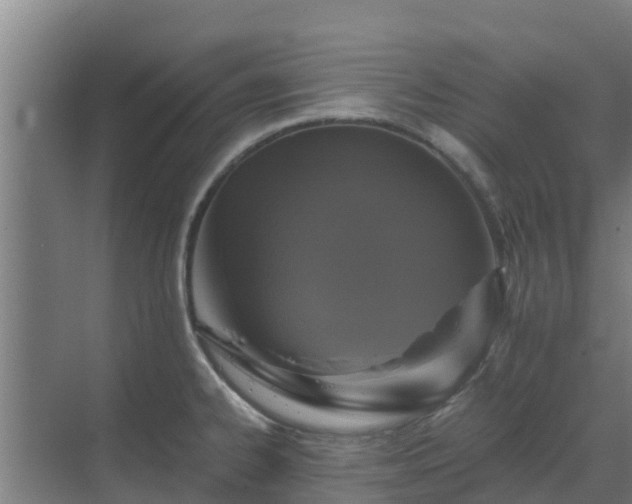 X0000069811334200605261738