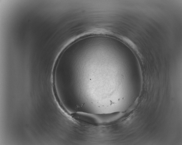 X0000069811335200605261738