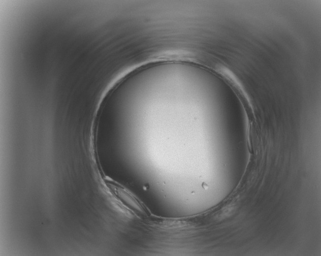 X0000069811336200605261739