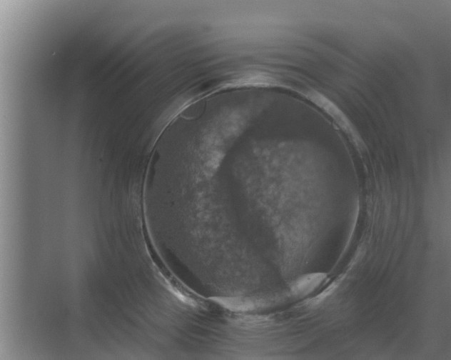 X0000069811337200605261739