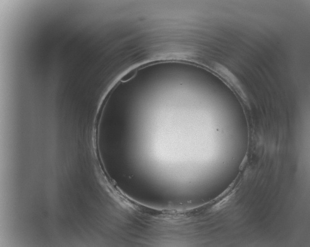 X0000069811340200605261739