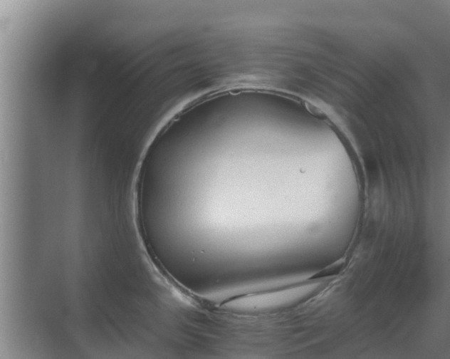 X0000069811341200605261739