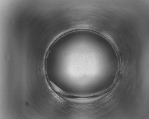 X0000069811342200605261739