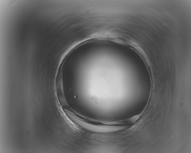 X0000069811344200605261739