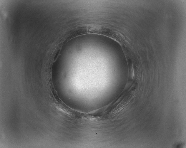 X0000069811345200605261738