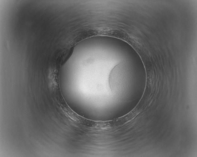 X0000069811346200605261738